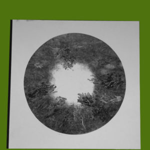 Buco Verde