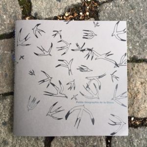 Petite géographie de la glace