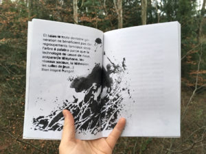 De l’arbre à palabre à l’arbre numérique / illustration 1