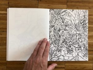 Kash / illustration 4