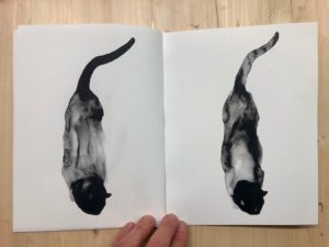 Sans titre / illustration 5