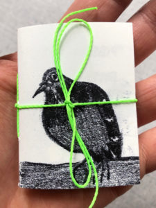 pigeon sur chaise / illustration 0