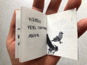 pigeon sur chaise / illustration 2