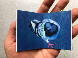 pigeon sur chaise / illustration 3
