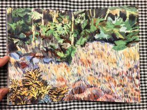 Plantes / illustration 2