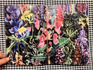 Plantes / illustration 4