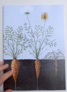 Des carottes oui, rapées non! / illustration 0