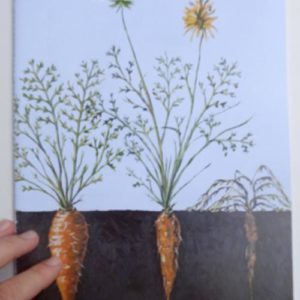 Des carottes oui, rapées non!