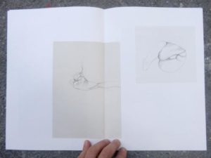 Sans titre / illustration 3