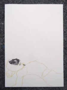 Sans titre / illustration 0