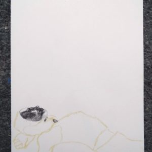Sans titre