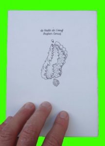 La taille de L’oeuf / illustration 0