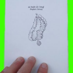 La taille de L’oeuf