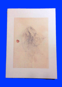 Montagnes / illustration 0