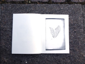 Surface de Projection / illustration 3
