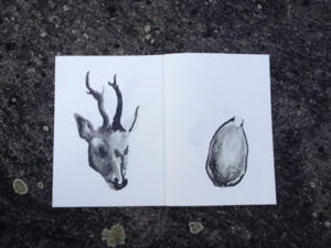 Sans titre / illustration 1