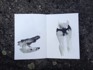Sans titre / illustration 2